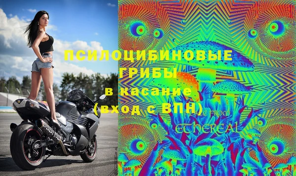 соль ск Беломорск